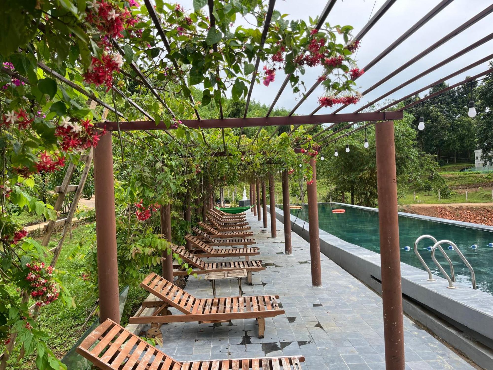 Nguyen Shack Retreat Resort Фонг Нха Екстериор снимка
