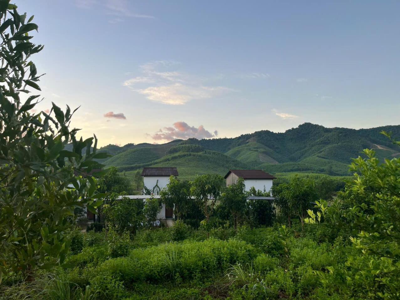 Nguyen Shack Retreat Resort Фонг Нха Екстериор снимка