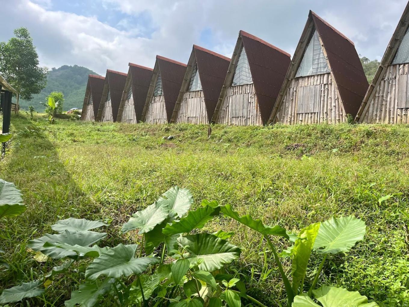Nguyen Shack Retreat Resort Фонг Нха Екстериор снимка